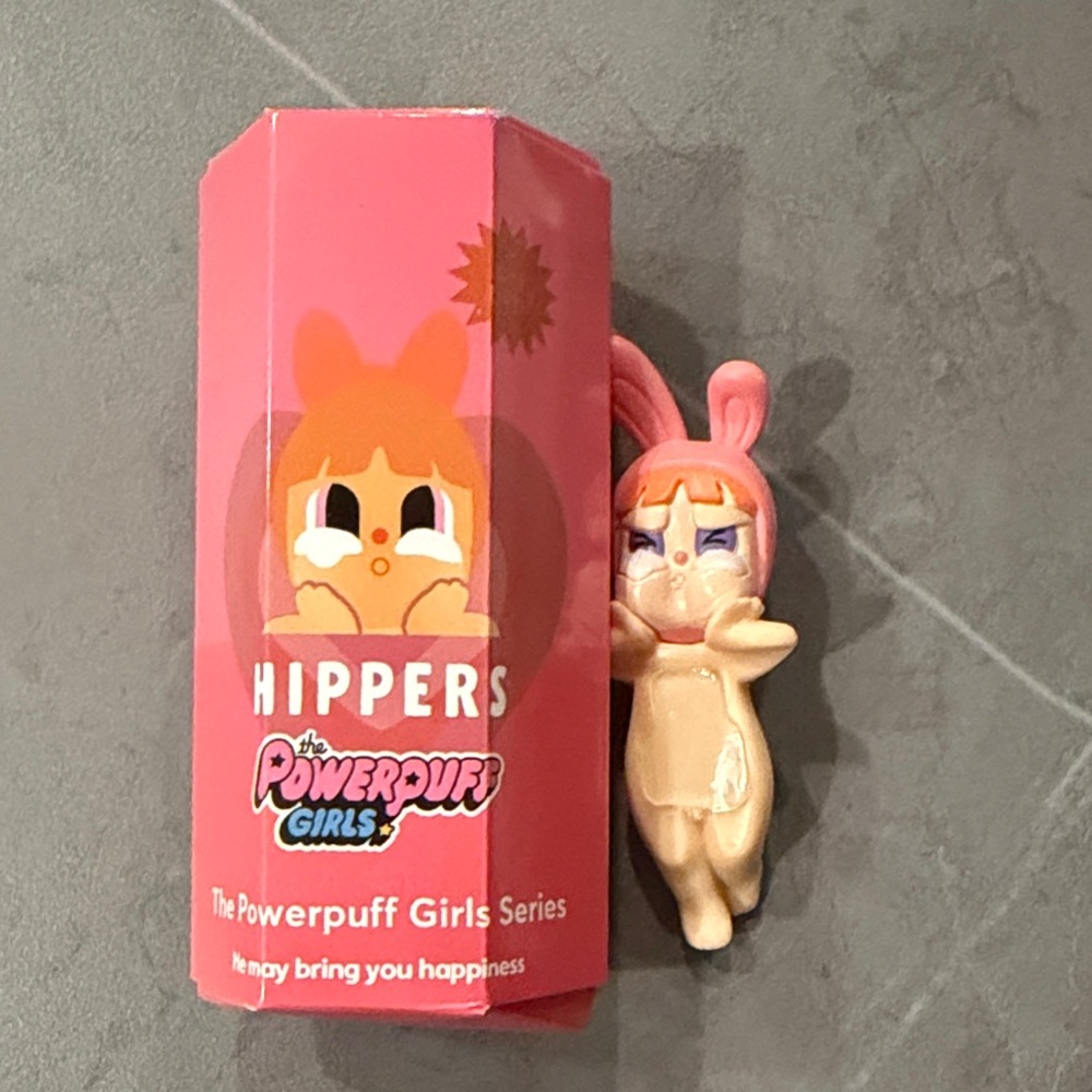 Powerpuff Girls Hippers collectible with pink box